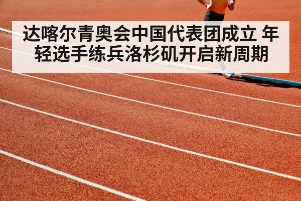 达喀尔青奥会中国代表团成立 年轻选手练兵洛杉矶开启新周期
